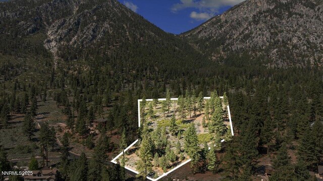 490 Natures Edge Rd, Gardnerville, NV 89410