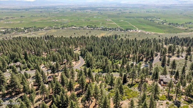 490 Natures Edge Rd, Gardnerville, NV 89410