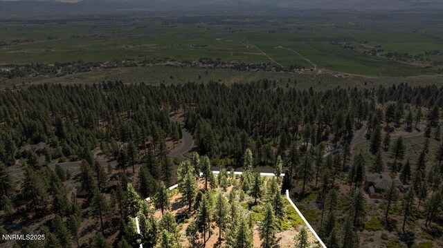 490 Natures Edge Rd, Gardnerville, NV 89410