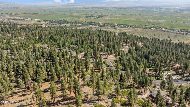 490 Natures Edge Rd, Gardnerville, NV 89410