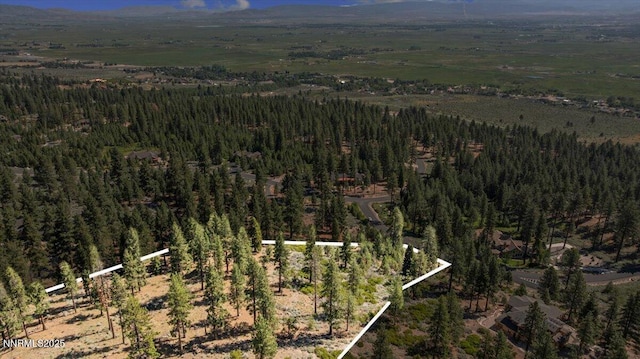 490 Natures Edge Rd, Gardnerville, NV 89410