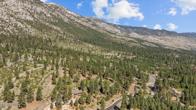 490 Natures Edge Rd, Gardnerville, NV 89410