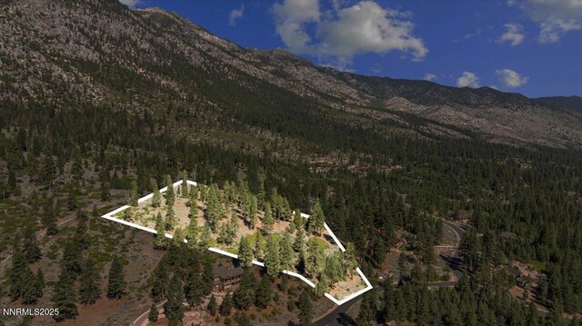 490 Natures Edge Rd, Gardnerville, NV 89410