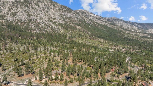 490 Natures Edge Rd, Gardnerville, NV 89410