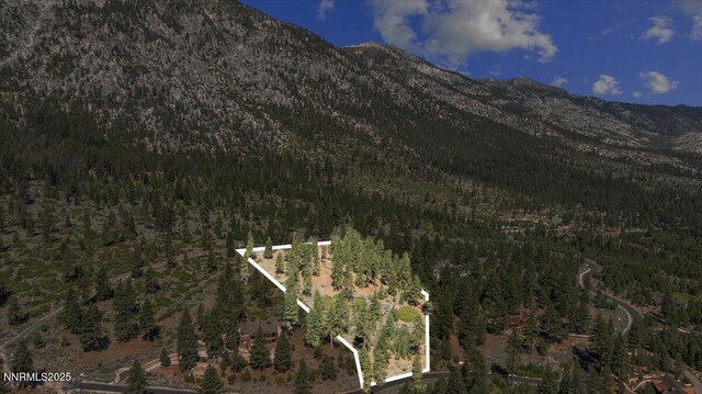490 Natures Edge Rd, Gardnerville, NV 89410