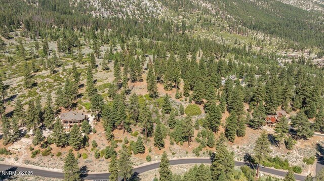 490 Natures Edge Rd, Gardnerville, NV 89410