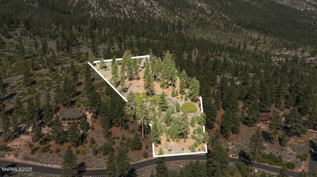 490 Natures Edge Rd, Gardnerville, NV 89410