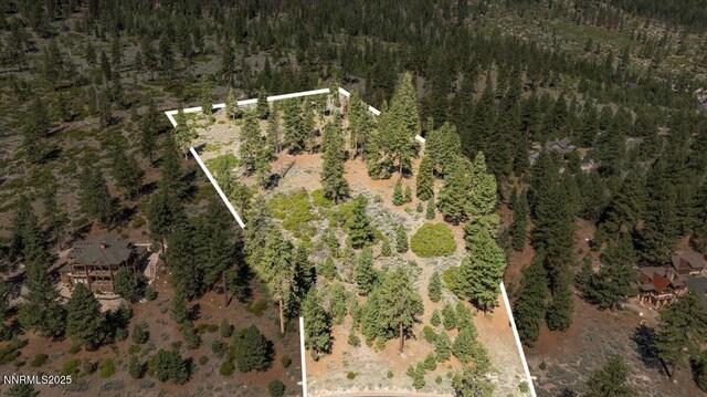 490 Natures Edge Rd, Gardnerville, NV 89410