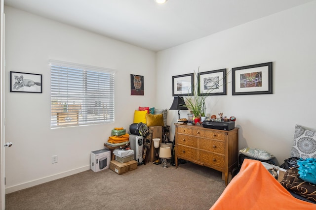 1733 Treeline Dr, Fernley, NV 89408 - carpeted bedroom with baseboards