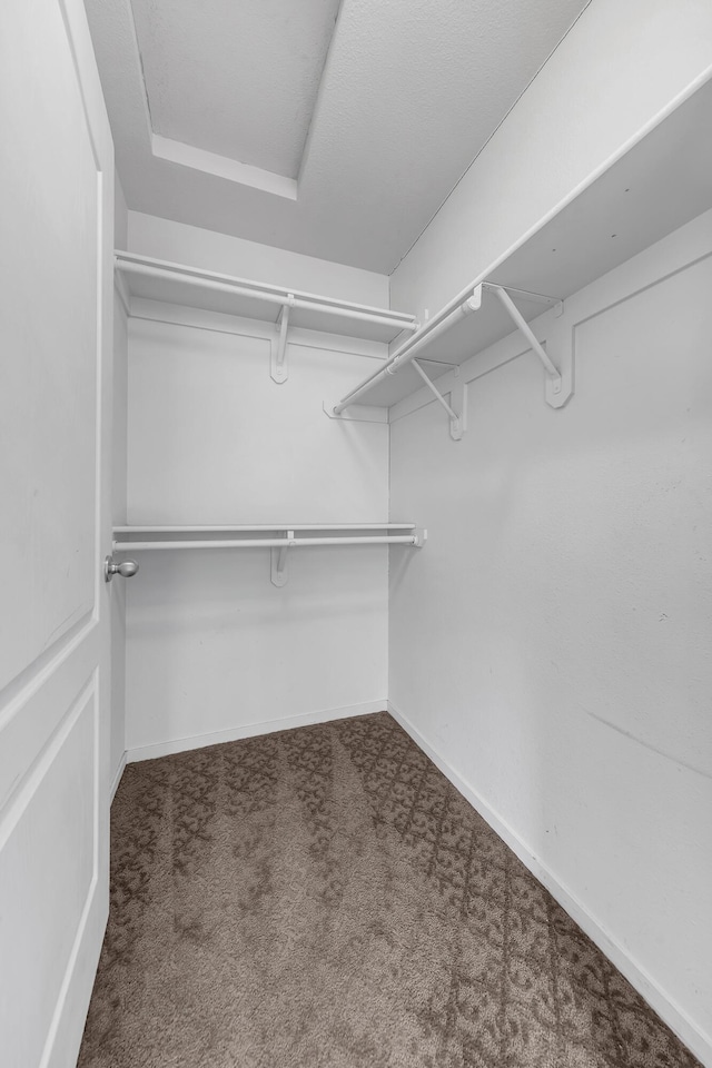 6850 Sharlands Ave Unit H2044, Reno, NV 89523 - spacious closet with carpet
