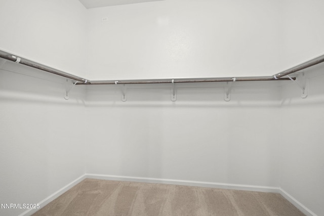 15025 Iron River Dr, Reno, NV 89521 - spacious closet with light carpet