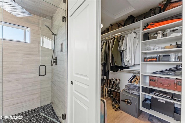 5540 Twin Creeks Dr, Reno, NV 89523 - spacious closet with attic access