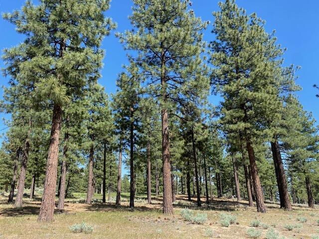 3541 Golf Club Dr Unit 1, Carson City, NV 89705