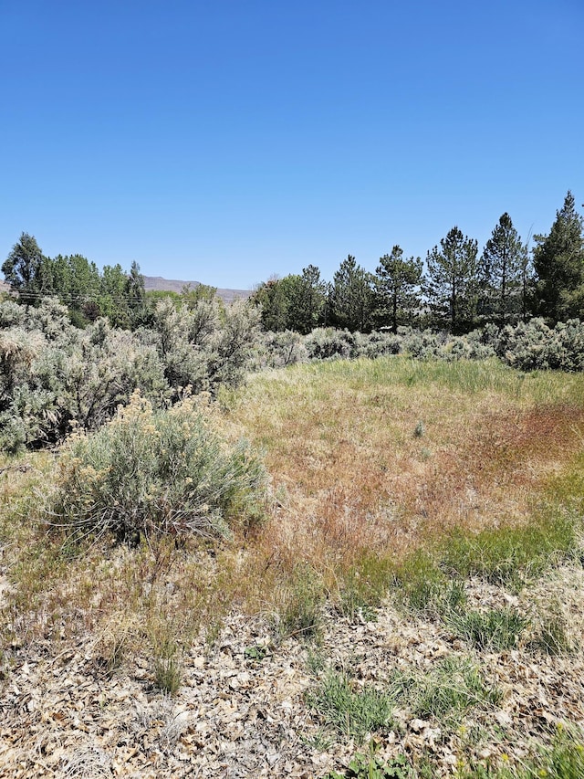 310 Mark Way, Carson City, NV 89706 - photo 2