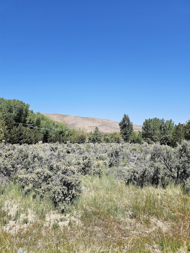 310 Mark Way, Carson City, NV 89706 - photo 3