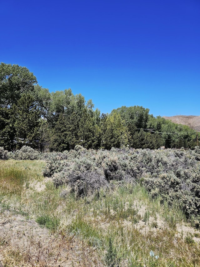 310 Mark Way, Carson City, NV 89706 - photo 4
