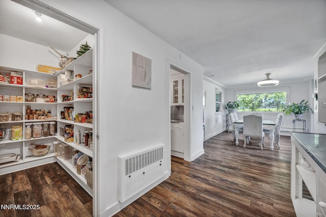 125 Greenridge Dr, Reno, NV 89509 - pantry with heating unit