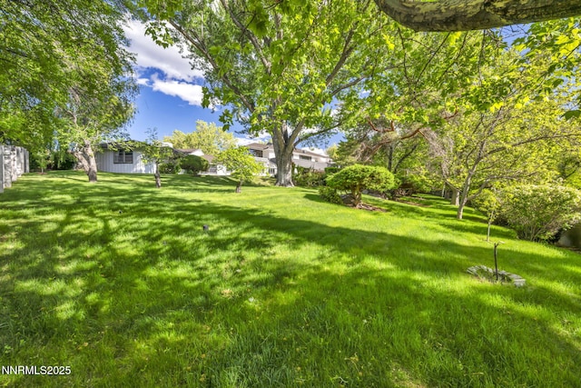 125 Greenridge Dr, Reno, NV 89509 - view of green lawn