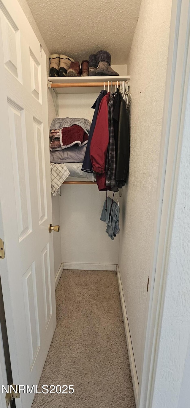 155 James Ct, Kingston, NV 89310 - view of closet