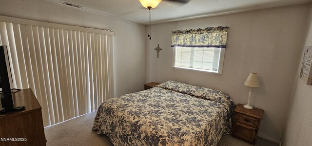 155 James Ct, Kingston, NV 89310 - bedroom featuring carpet floors