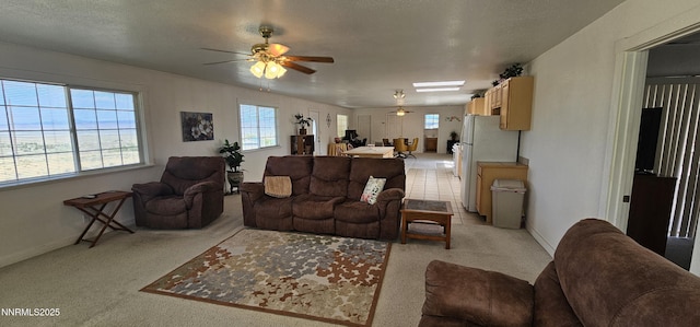 155 James Ct, Kingston, NV 89310 - living room with ceiling fan, healthy amount of natural light, light carpet, and baseboards