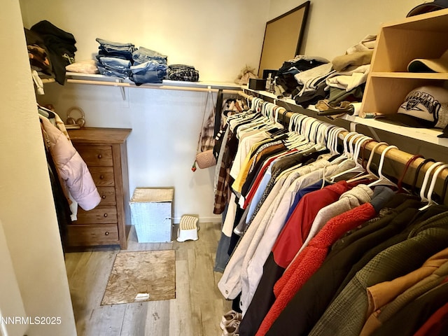 1224 Mountain Rose Dr, Fernley, NV 89408 - walk in closet featuring wood finished floors