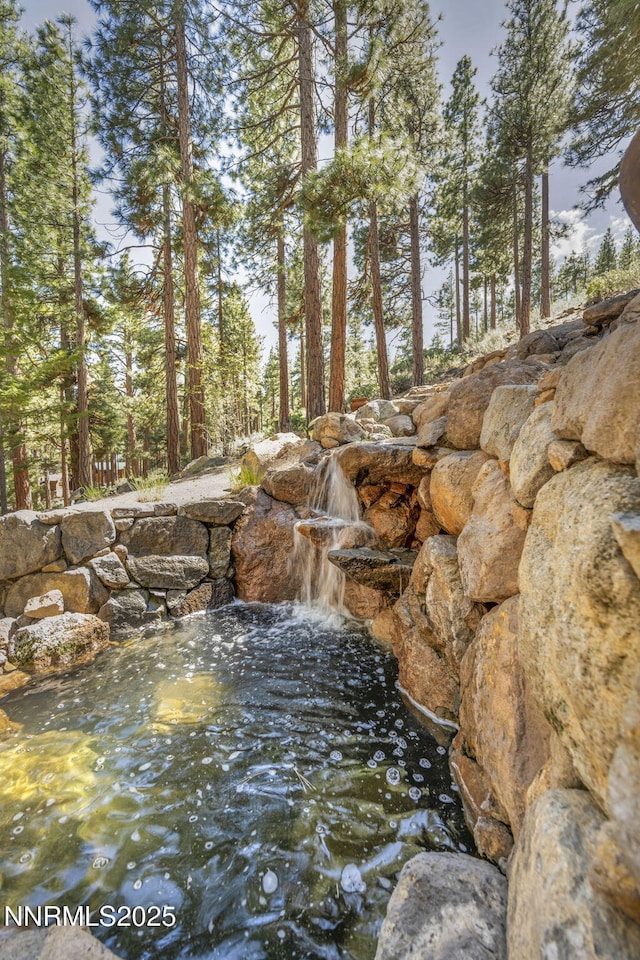 1445 Austrian Pine Rd, Reno, NV 89511 - exterior view of a small pond