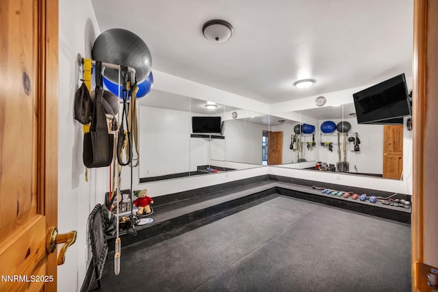 1445 Austrian Pine Rd, Reno, NV 89511 - view of exercise area
