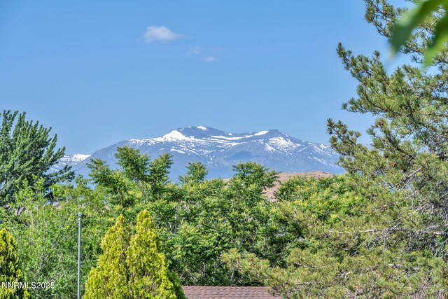 3690 Sleepy Hollow Dr, Reno, NV 89502 - photo 45
