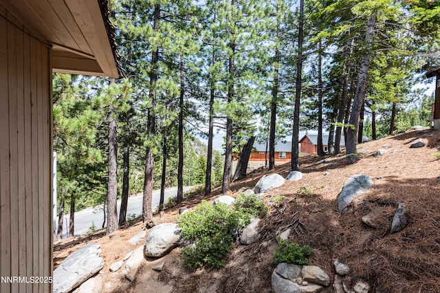 769 Tina Ct # H, Stateline, NV 89449 - view of yard