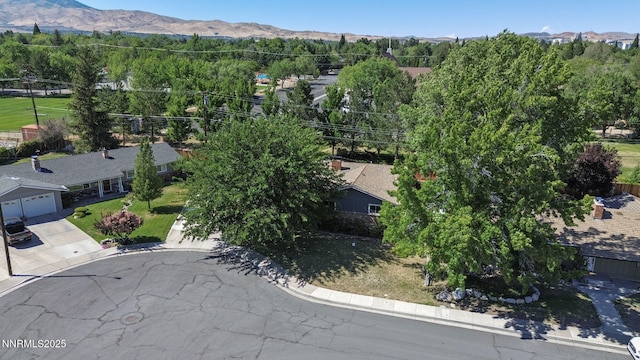 1095 Maplewood Dr, Reno, NV 89509 - photo 4