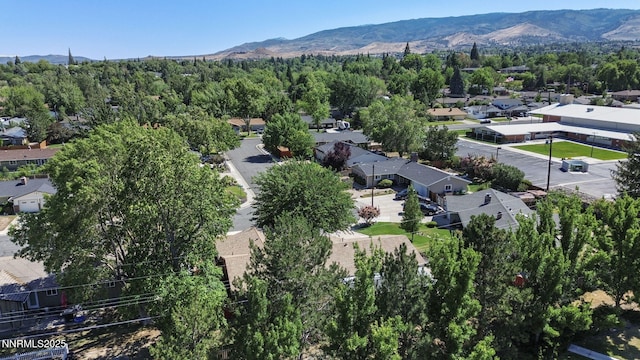 1095 Maplewood Dr, Reno, NV 89509 - photo 49