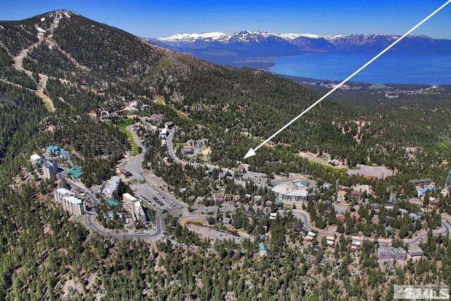 758 Milky Way Ct Unit B, Stateline, NV 89449 - aerial view of property and surrounding area with mountains and a heavily wooded area