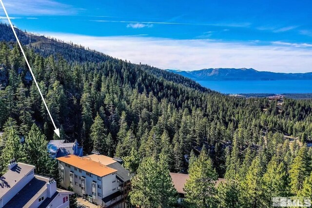 758 Milky Way Ct Unit B, Stateline, NV 89449 - view of mountain background with a heavily wooded area