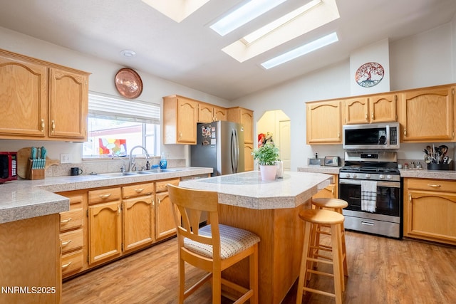 244 Ave De La Couleurs Ave, Sparks, NV 89434 - kitchen featuring stainless steel appliances, a sink, vaulted ceiling, a skylight, and light wood-style flooring