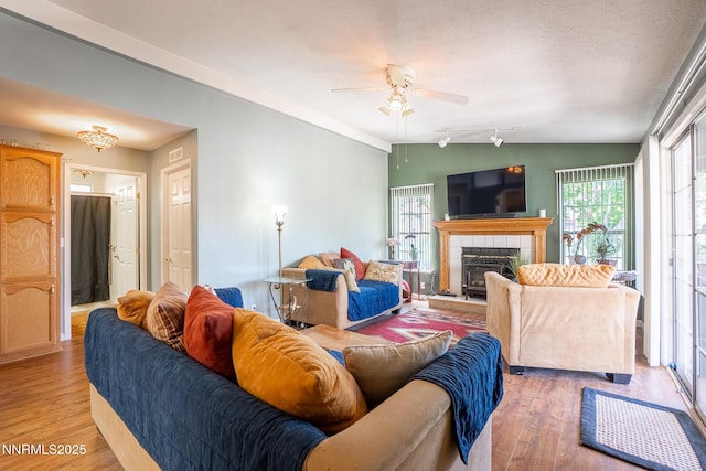 244 Ave De La Couleurs Ave, Sparks, NV 89434 - living area featuring vaulted ceiling, light wood-style flooring, a ceiling fan, and a fireplace
