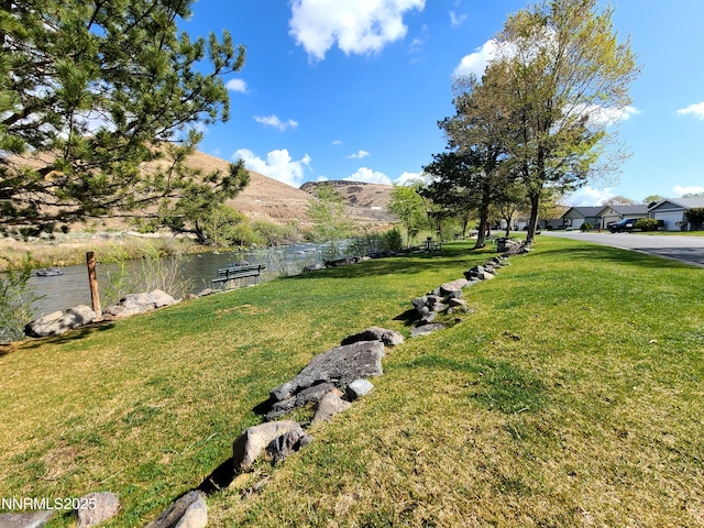 244 Ave De La Couleurs Ave, Sparks, NV 89434 - view of green lawn