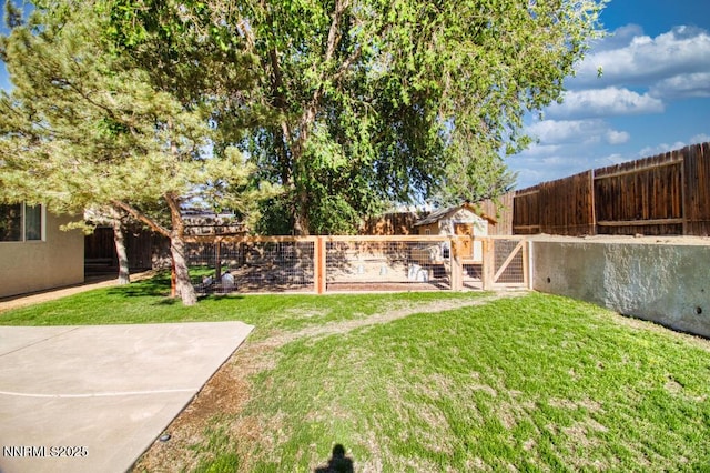 1563 Maria Ct, Fernley, NV 89408 - view of yard