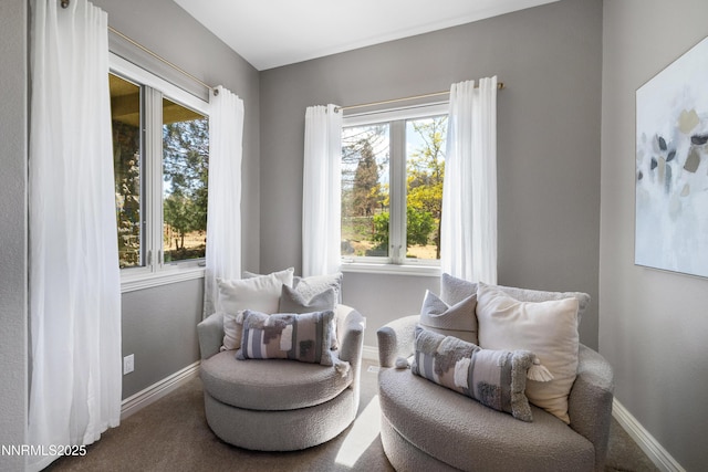 193 N Argyle Ct, Reno, NV 89511 - living area with baseboards and carpet flooring