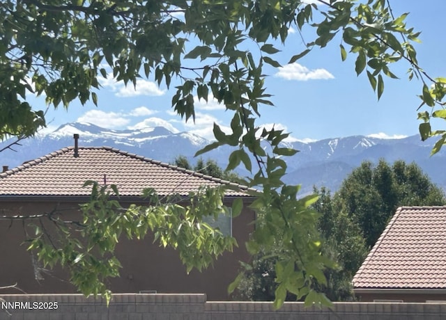 11285 Messina Way, Reno, NV 89521 - photo 41