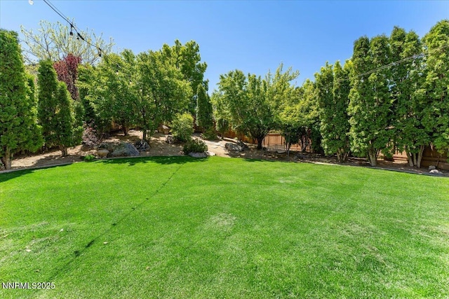 2349 Dodge Dr, Sparks, NV 89436 - view of yard