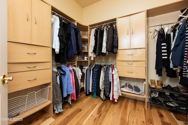 1601 Jones St, Minden, NV 89423 - walk in closet featuring wood finished floors
