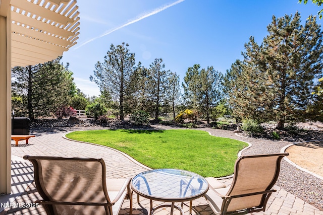 1601 Jones St, Minden, NV 89423 - view of green lawn with a patio area