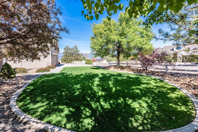 1601 Jones St, Minden, NV 89423 - view of grassy yard