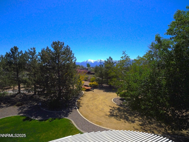 1601 Jones St, Minden, NV 89423 - view of yard with a mountain view