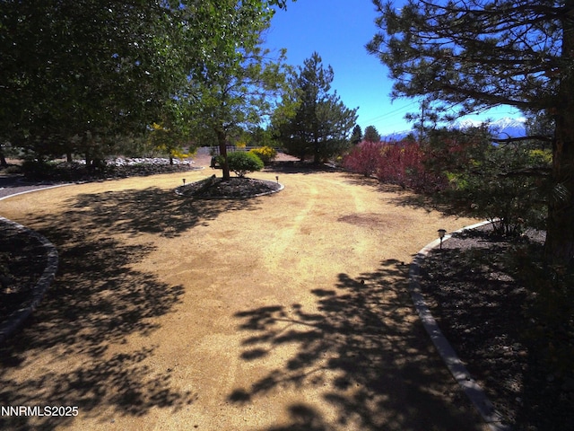 1601 Jones St, Minden, NV 89423 - view of yard