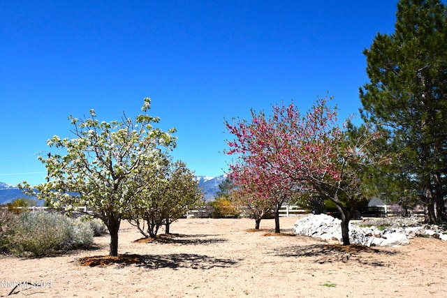 1601 Jones St, Minden, NV 89423 - view of yard with a mountain view