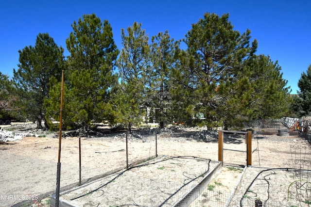 1601 Jones St, Minden, NV 89423 - view of yard
