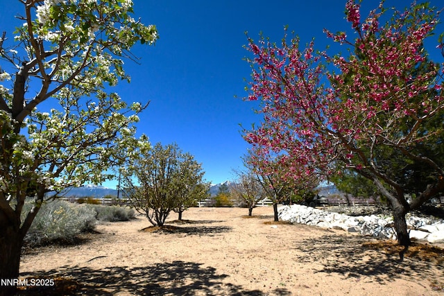 1601 Jones St, Minden, NV 89423 - view of yard with a mountain view