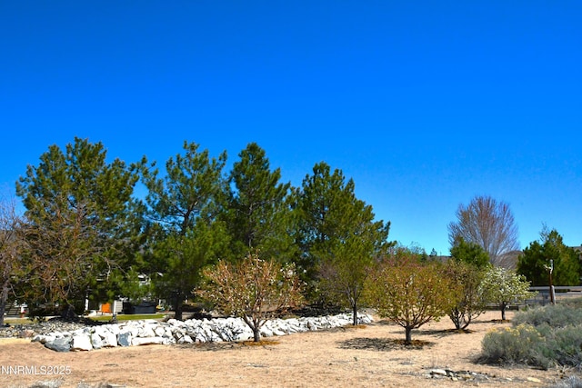 1601 Jones St, Minden, NV 89423 - view of yard